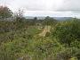 elands-bulga 036